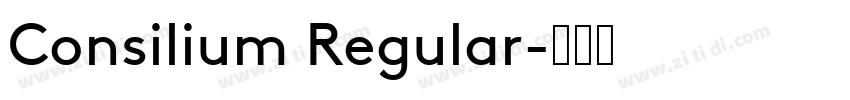 Consilium Regular字体转换